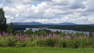 Knappgården - Särna - 7