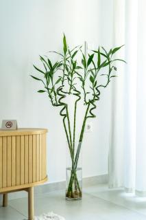 Andria's Apartment - 8