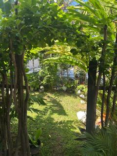 House of Water Lily - 4