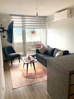 Departamento en temuco centro con vista a volcanes - 8