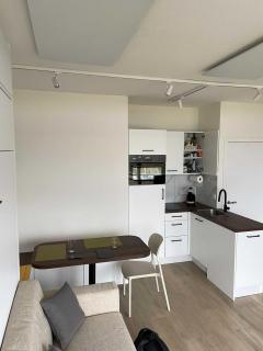 Studio met frontaal zeezicht en afgesloten slaaphoek - 2