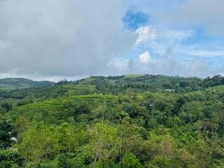 Manjappallil Resorts - Private Pool Cottage - 5