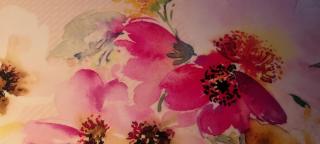 Studio- Kokon- Souterrain - 9