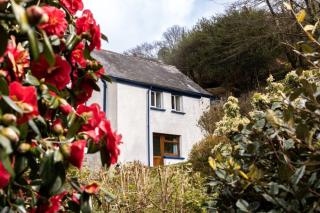 2 bed rural retreat nestled in the heart of Exmoor - 1