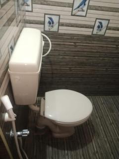 Stay Live Heal Lite - 1