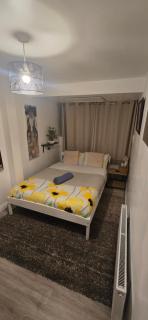 The Shinki House - 0