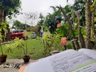 Gardenia 29 - Raichak - 6