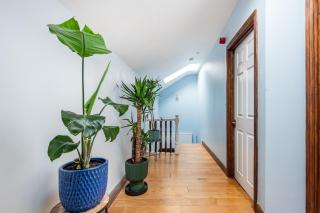 Beautiful Apartment in Hotwells - 6