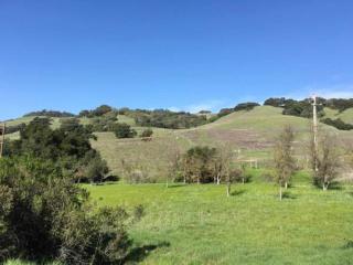 Amitabha Wine Country Cottage - 1