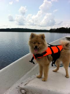 Lomavasara casa vacanza al lago in Finlandia - 5