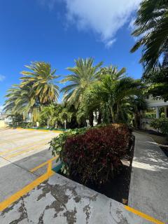 The Palms apt 12 and 11 - 1