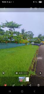 Emma modern suite - 6