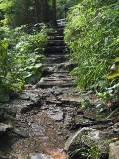 Panorama-Suite mit Kamin & Balkon, Ruhe, Weitblick & Natur im Schwarzwald - 1