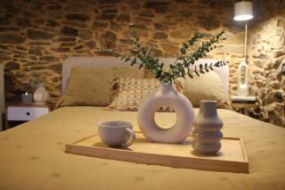 MINI PICONEIRO II - 3