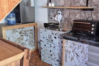 Mini Depto Trayenko - 4