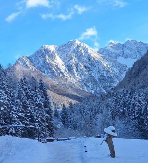 Gostišče Jezersko - 3