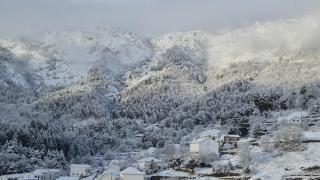 H(a)ver as Faias - 0