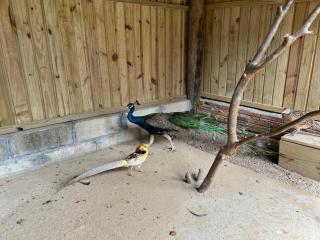 Pousada riacho da Barragem - 3