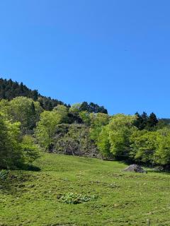 農家民宿レーベン LEBEN farm lodge - 8