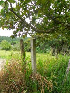 Casa de Campo com Piscina perto de SP Embu,Cotia - 2
