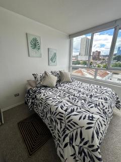 Edificio león Gallo - 0