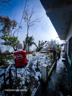 The Rawscape hostel - 7