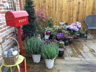 Jeonju Hanok Villages Independent Anne House - 6