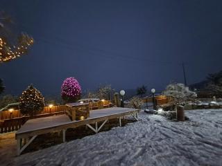 Yeoncheon Jjongi and Mary Newly Built First Branch Pet Pension - 6