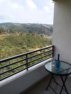 Cómodo departamento Viña del Mar - 8