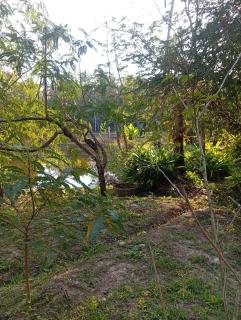 Chom Suan Farmstay - 3