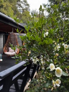 Domoñikemen, los Lleuques, termas de chillan - 9