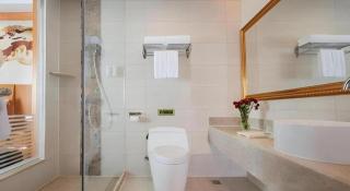 Vienna Hotel Guangdong Boluo Fu Mountain Scenic Spot - 9