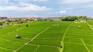 Casa Alden - 3BR Infinity Pool with Ricefield View - 6