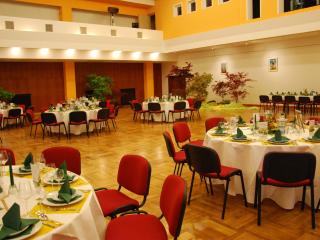 EVITA Forum Demen - Demen - 1
