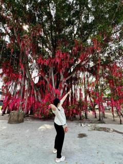 巴适得板 80homestays Kuala Selangor - 2