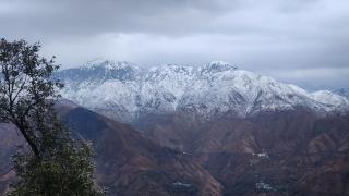 Krishna guest house - 1