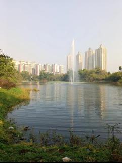 Happy Homes Hospitality - Cozy Homestay Studio Apartment at Hiranandani Estate Thane with stunning Lake Facing Skyscraper view - 5