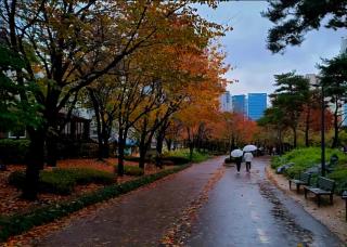 홍대 햇살 가득한 집 프라이빗 단독층 35평 방4,욕실2,거실2,최대10인,단체,가족,승강기,주차,짐 보관 - 0