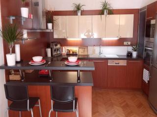 Family Flat 120m2, Praha 2 Vinohrady - Prague - 9