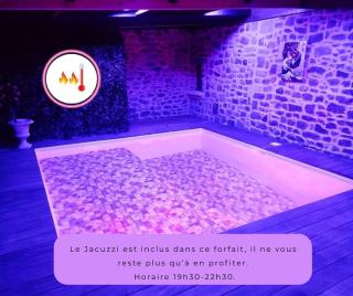 Jacuzzi XXL avec Charme et Caractères de campagne - 9