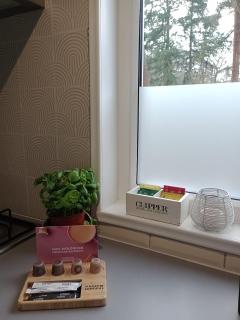 Forrest Lodge in bosrijke omgeving de Veluwe - met terras, tuin en fietsschuurtje - Nunspeet - 9