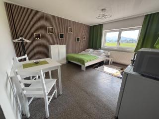 Traunstein View for Hiking, Skiing and Relaxation - 0