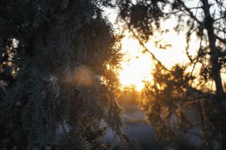 Chamali House Peaceful Nature Farm Stay Ferme Zarraba - 1