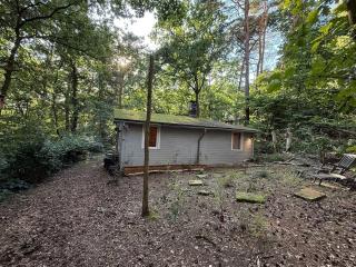 Waldhaus am See mit Wasserzugang - 1