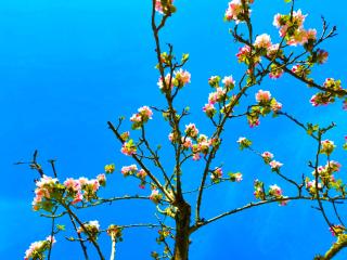 Paisible du Fort de Vaux - 5