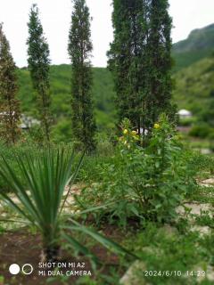 Gogasar house - 1