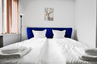 Cozy Central 1BD Apartment - 0