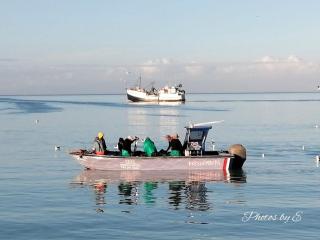 Shelley Point On Sea - 8