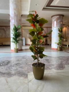 فندق منازل الشروق توصيل مجاني للحرم - 7