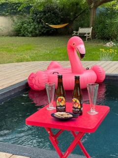 Studio Lumineux avec jardin & piscine à Vaison la Romaine - 8